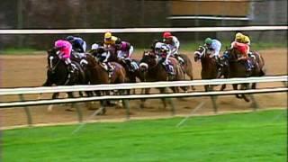 2000 Breeders Cup Classic