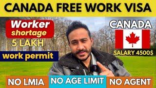 Canada Work Permit 2024  Canada free work permit visa 2024  Canada Immigration Canada Work Permit