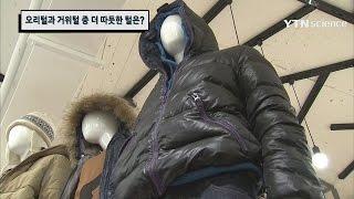 오리털과 거위털 중 더 따듯한 털은?  YTN 사이언스