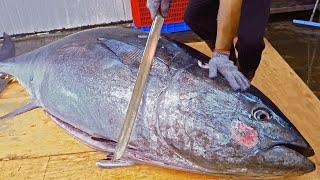 Worlds Sharpest Tuna Knife！Amazing Giant bluefin tuna cutting Master  驚人的！巨大黑鮪魚切割技巧 黑鮪魚大腹-Sashimi