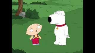 Family Guy - In poland