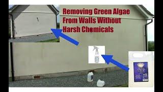 Spraying Vinegar On Walls To Kill Off Green Algae