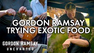 Gordon Ramsay Trying Exotic Food  Part One  Gordon Ramsay Uncharted