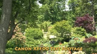 Canon XF100 Test Footage Canon XF 100 Review