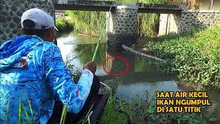 Mancing Di Waktu Air KecilIkan nya cepet Makan