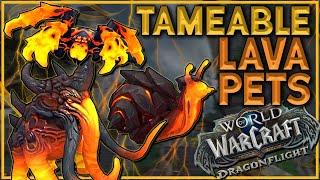 DRAGONFLIGHT NEW TAMEABLE LAVA PETS  World of Warcraft Dragonflight Beta