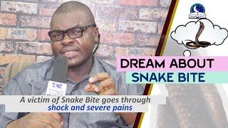 DREAM ABOUT SNAKE BITE - Find Out The Biblical Dream Interpretation