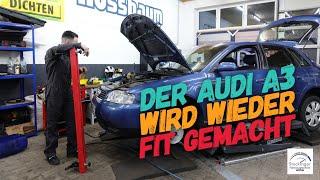 Audi A3 1.6l verliert Kühlwasser - Zahnriemen Bremsen und Ölwechsel #4