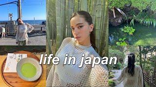 japan vlog   visiting kamakura bamboo cafe unboxing blind boxes ghibli museum