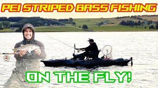 Fly Fishing on Land VS Kayak PEI Striped Bass Fishing