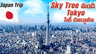 Tokyo City Tour  Tokyo Sky Tree  Sibuya scramble Crossing  Japan Trip in Telugu