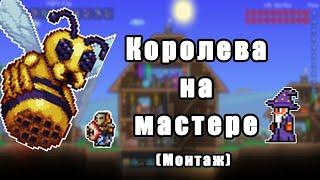 Terraria QUEEN BEE на мастере. камень магмы