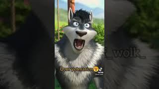 wolf wolk BORILAR makoni #RIZOBEKSTUDIO