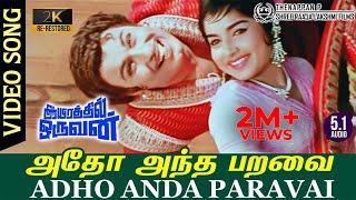 Adho Andha Paravai 2K Video Song  RE-Restored 2K TRUE 5.1 AUDIO  MGR  Jayalalitha