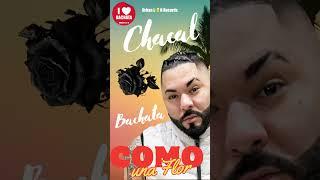 CHACAL - COMO UNA FLOR BACHATA