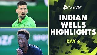 Djokovic & Nardi THRILLER Medvedev Rune Dimitrov In Action  Indian Wells 2024 Day 6 Highlights