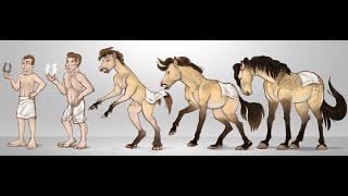 Horse Transformation  Horse TFTG
