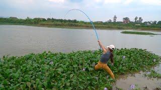 Amazing Hook Fishing. Fishing Village Girl Hunting Giant Carp