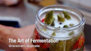 The Art of Fermentation in Gracetown Australia