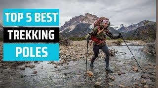 Best Trekking Poles 2024 - don’t buy one before watching this