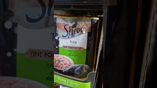 какая Sheba за границей  чем отличается Sheba на Бали и в России   чем кормят кошек на Бали #sheba