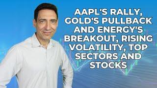 AAPLs rally Golds Pullback and Energys Breakout Rising Volatility Top Sectors and Stocks