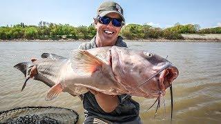 Shorefishing for HUGE Catfish