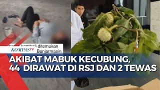 Akibat Mabuk Kecubung 44 Orang Masuk RSJ dan 2 Tewas di Banjarmasin