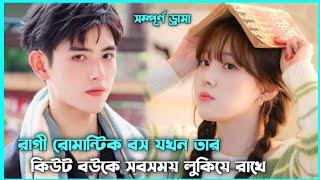 রোমান্টিক লাভ স্টোরি  Hidden Wife Movie Explain in Bangla  Korean Drama Bangla 🟤 Movie Story SJ