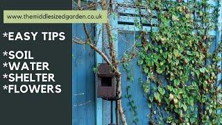 Easy low maintenance wildlife garden tips - for a beautiful wild garden