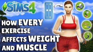 I Tested How EVERY Exercise Affects Weight And Muscle In The Sims 4 So You Dont Have To