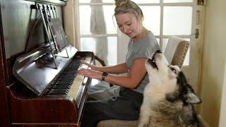 Rude Husky LAUGHS at My Piano Playing After 4 Years