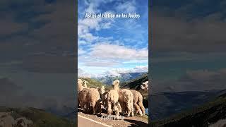 ¿Cómo es el tráfico hoy en los Andes?