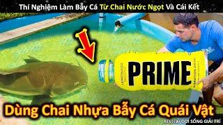 Thử Thách Làm Bẫy Từ Chai Nước Ngọt Săn Quái Thú Và Cái Kết  Review Giải Trí Đời Sống