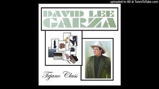David Lee Garza - Mi Pequeño Lucero 1996
