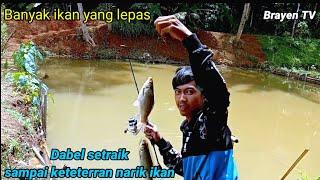 Cara Mancing ikan yang susah makan ini caranya agar dapat ikan banyak