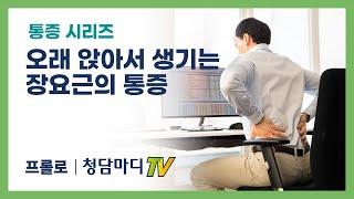 요통 오래 앉아서 생기는 장요근의 통증_청담마디신경외과 심재현 원장