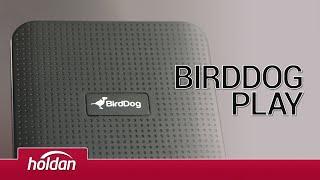 BirdDog PLAY Decoder - Simplified NDI distribution