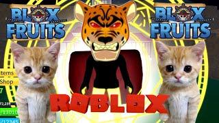 LIVE CARI MIRAGE UNTUK RACE V4 BARENG YUK - Blox Fruit Roblox Indonesia