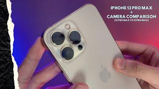 iPhone 13 Pro Max Gold + Camera Comparison  Unboxing & Review