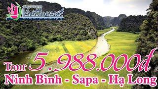 Tour du lịch Ninh Bình - Hạ Long - Sapa - Hà Nội 5N4Đ  VIETTOURIST