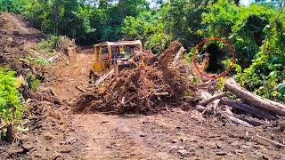 Very Extreme D6r XL bulldozer operator builds a new road on mountain cliff filled with fallen tree