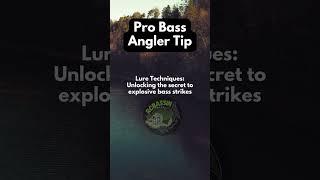 Bass Fishing Pros Reveal Their Top Lure Retrieve Techniques #shorts #fishing