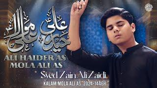 Ali Haider Mola Ali  Syed Zain Ali Zaidi  Title Noha 20241446