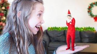 My Elf On The Shelf Came To Life