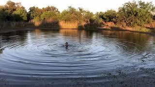 Julie Testing the Depth of Our Pond  She’s Crazy