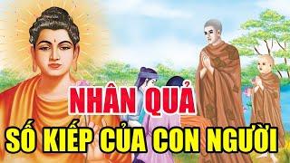 SỐ KIẾP CON NGƯỜI Câu Chuyện Phật Giáo Hay Nhất Về Số Phận Của Con Người  Truyện Phật Giáo