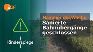 Sanierte Bahnübergänge geschlossen  Hammer der Woche vom 09.09.23  ZDF