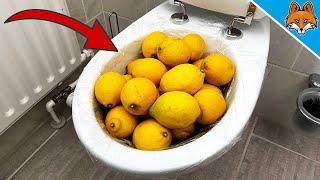 THATS WHY you should put LEMONS in your toilet  cleaning trick 