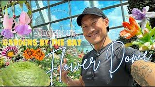 MagnificentDesert Plants And Fantastic Florals  - Inside The Flower Dome  Gardens by the Bay